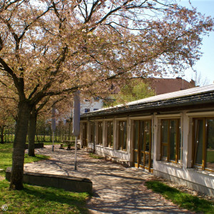 Evang. Kindergarten Hollerbusch - Unterschleißheim | EKiM kirchlicher