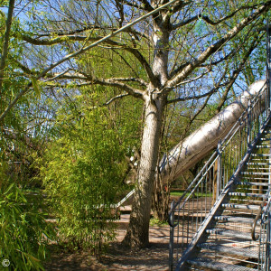 Garten Zachäus Kindergarten